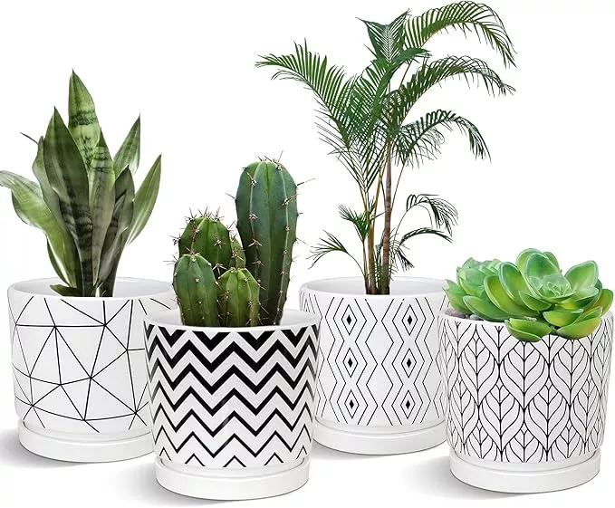 ton-sin-plant-pots-5-5-inch-white-pots-indoor-plants-with-drainage-holes-cylinde Ton Sin Plant Pots,5.5 Inch White Pots for Indoor Plants with Drainage Holes,Cylinder Flower Pot Ceramic Planters with Saucer,Cactus Succulent Outdoor Garden Pots Set of 4