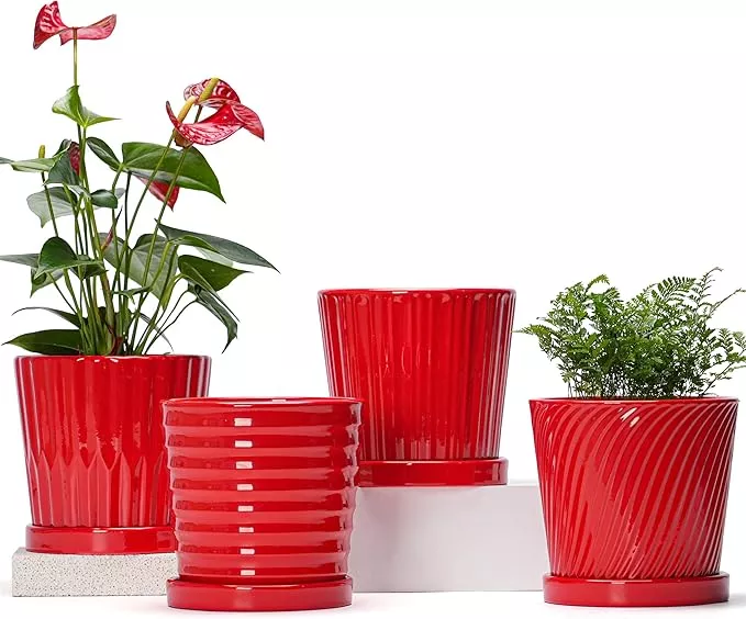 ton-sin-plant-pots-6-inch-flower-pots-plants-ceramic-planter-with-drainage-holes Ton Sin Plant Pots, 6 Inch Flower Pots for Plants,Ceramic Planter with Drainage Holes,Indoor Planter Pots with Saucer,Outdoor Garden Pots (Yellow, 4 Pack)
