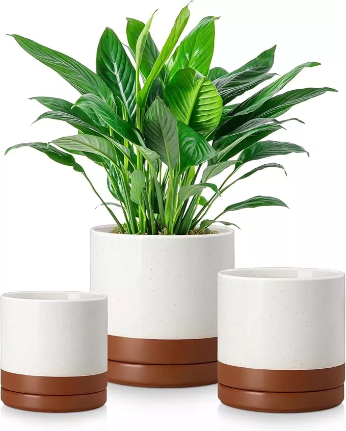 vancasso-ceramic-plant-pots-3-piece-planters-indoor-plants-4-25-5-25-6-25-inch-f vancasso Ceramic Plant Pots, 3 Piece Planters for Indoor Plants, 4.25+5.25+6.25 Inch Flower Pots with Drainage, Plant Pots Indoor for Succulent, Pothos, Snake Plant and Money Tree, Etc (Gray)