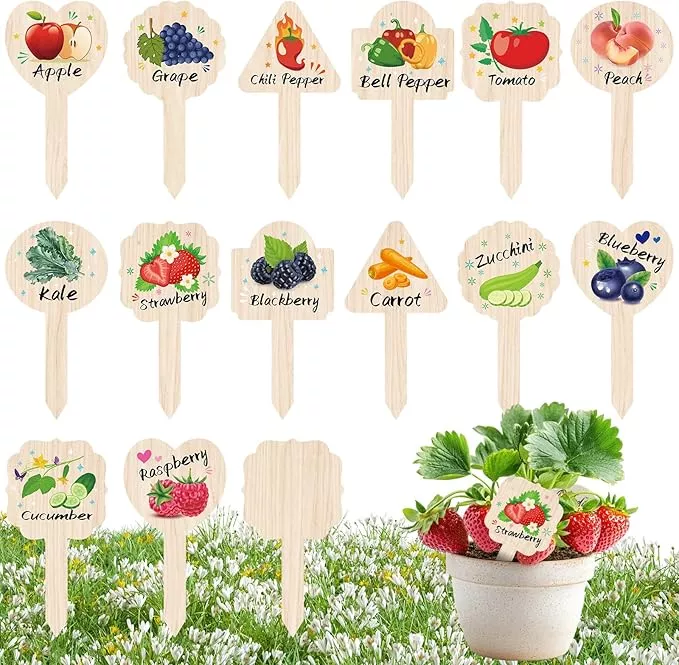 vegetable-plant-label-15pack-garden-markers-fruit-plant-labels-outdoor-garden-wa Vegetable Plant Label - 15PACK Garden Markers, Fruit Plant Labels for Outdoor Garden Waterproof, Plant Tags with Names, Indoor Patio Tags for Succulent Flowers Greenery Seedling