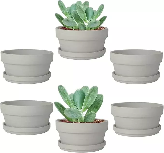 vensovo-3-7-inch-grey-terracotta-shallow-succulent-pots-6-pack-terra-cotta-clay- vensovo 3.7 Inch Grey Terracotta Shallow Succulent Pots - 6 Pack Terra Cotta Clay Pot with Saucer, Cacuts Indoor and Outdoor Planters with Drainage Hole