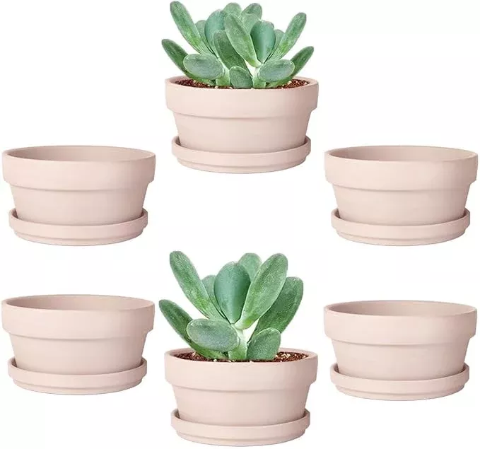 vensovo-3-7-inch-pink-terracotta-shallow-succulent-pots-6-pack-terra-cotta-clay- vensovo 3.7 Inch Pink Terracotta Shallow Succulent Pots - 6 Pack Terra Cotta Clay Pot with Saucer, Cacuts Indoor and Outdoor Planters with Drainage Hole