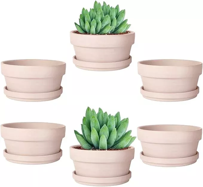 vensovo-4-5-inch-pink-terracotta-shallow-succulent-pots-6-pack-terra-cotta-clay- vensovo 4.5 Inch Pink Terracotta Shallow Succulent Pots - 6 Pack Terra Cotta Clay Pot with Saucer, Cacuts Indoor and Outdoor Planters with Drainage Hole