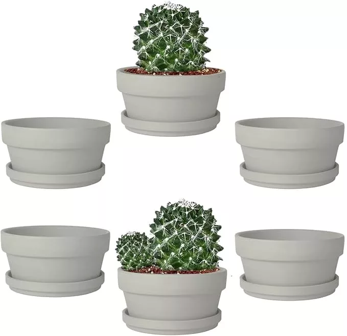 vensovo-5-7-inch-grey-terracotta-shallow-succulent-pots-6-pack-terra-cotta-clay- vensovo 5.7 Inch Grey Terracotta Shallow Succulent Pots - 6 Pack Terra Cotta Clay Pot with Saucer, Cacuts Indoor and Outdoor Planters with Drainage Hole