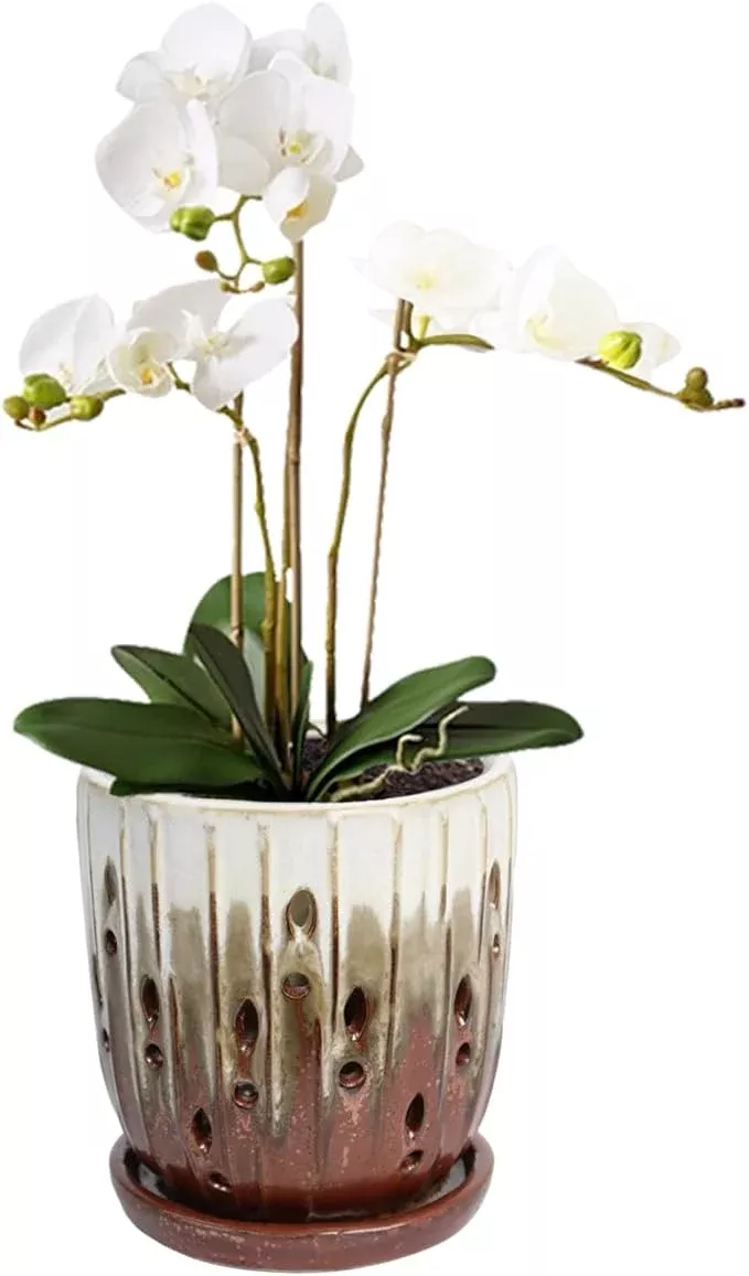 vensovo-6-inch-ceramic-orchid-pot-orchid-pot-with-holes-repotting-ceramic-plante vensovo 6 Inch Ceramic Orchid Pot - Orchid Pot with Holes for Repotting, Ceramic Planter with Saucer for Indoor/Outdoor Plants, Pink