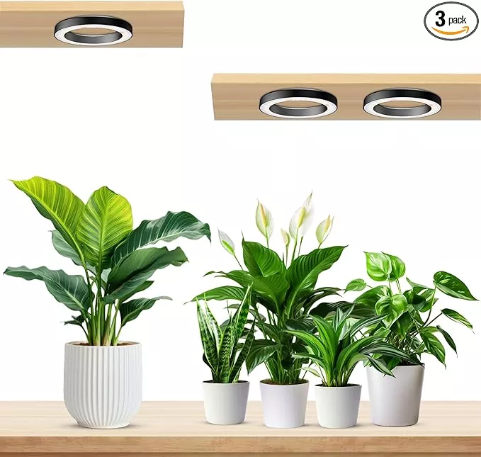Wiaxulay 6.3” Ceiling Plant Grow Light, 252 LED Full Spectrum Halo Grow Lights for Indoor Plants, 12V/3A Under Cabinet Grow Lamp with 6/12/16 Hrs, 3 Lighting Mode, 5 Dimmable Levels, Tri Head