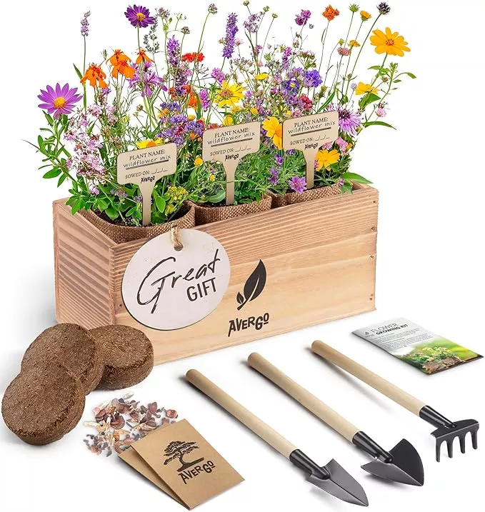 wildflower-seed-mix-growing-kit-includes-perennial-annual-wild-flowers-burlap-pl Wildflower Seed Mix Growing Kit - Includes Perennial & Annual Wild Flowers, Burlap Planters, Soil, Wooden Box, and Gardening Tools for Indoor Garden and Patio Planting