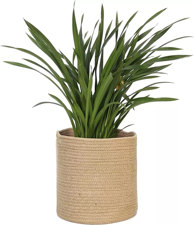 woven-jute-plant-basket-wicker-basket-planter-11-inch-pot-round-indoor-tree-pot- Woven Jute Plant Basket, Wicker Basket Planter for 11 inch Pot, Round Indoor Tree Pot Cover, Small Boho Storage Bin Organizer, Rustic Basket for Plants and Home Decor, 12.5” x 12.5”