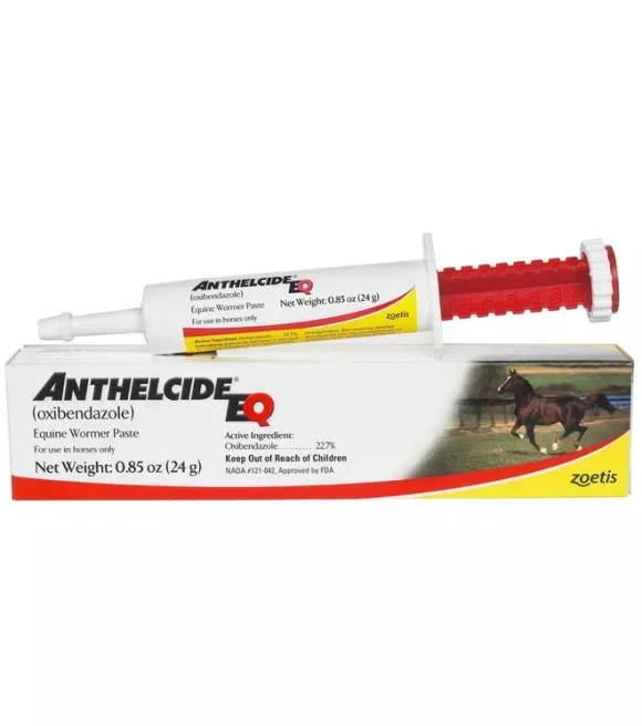zoetis-anthelecide-equine-paste-wormer-24-gm Zoetis, Anthelecide Equine Paste Wormer, 24 gm