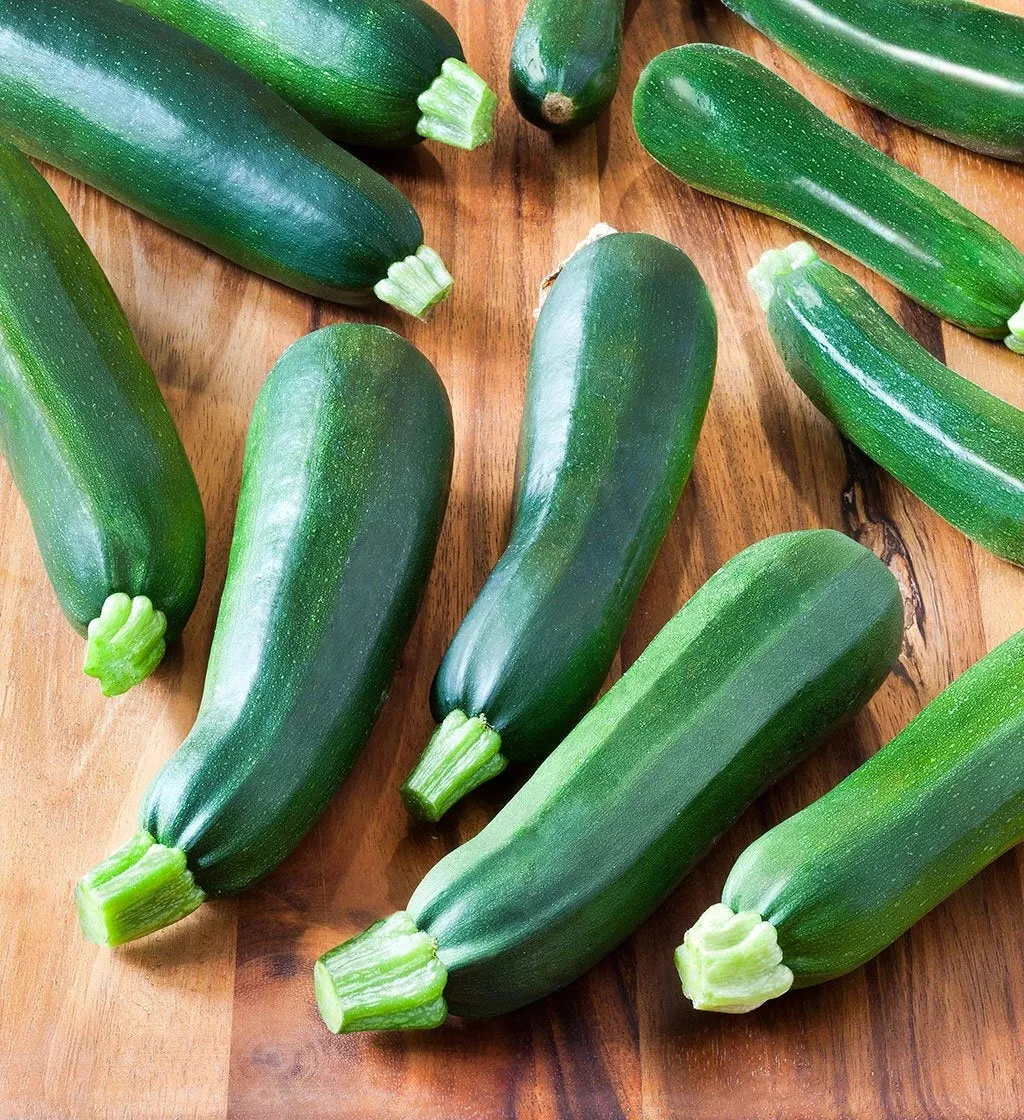 zucchini-seeds-black-beauty-organic-50-non-gmo-heirloom-seeds-cucurbita-pepo Zucchini Seeds Black Beauty Organic | 50+ Non-GMO Heirloom Seeds | Cucurbita pepo